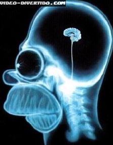 Cerebro do Homer